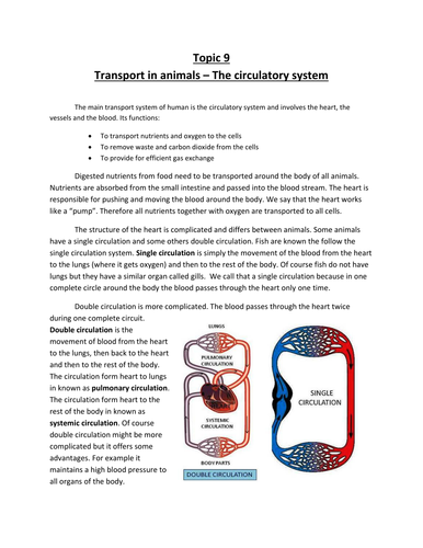 Transport in animals - IGCSE Biology - CIE