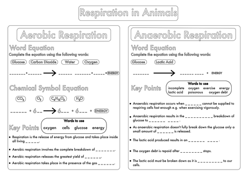 Printables Biology Worksheet bumper gcse biology worksheet pack by beckystoke teaching resources tes