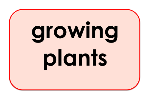 Growing Plants - Games and Activities Supporting Scientific Vocabulary