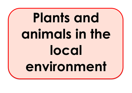Plants and Animals - Games and Activities Supporting Scientific Vocabulary