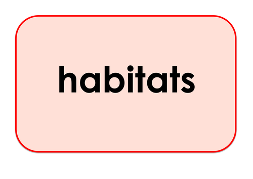 Habitats - Games and Activities Supporting Scientific Vocabulary