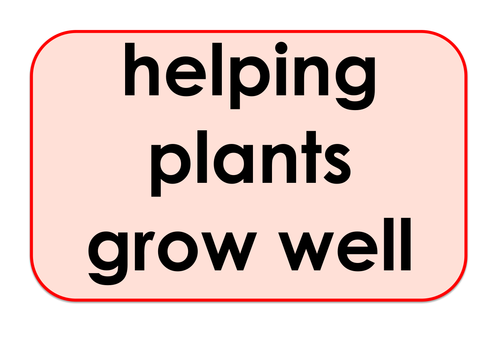 Helping Plants Grow Well  - Games and Activities Supporting Scientific Vocabulary