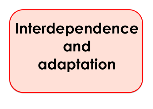 Interdepedence and Adaptation - Games and Activities Supporting Scientific Vocabulary