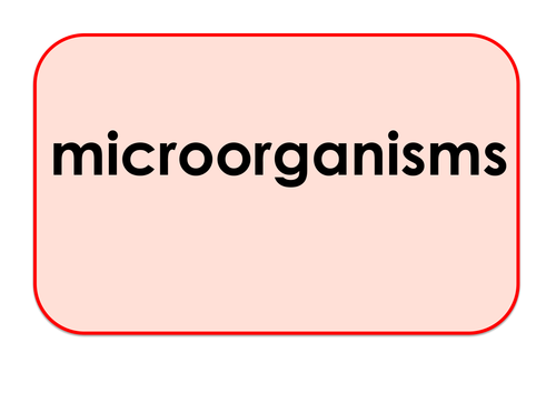 Micro-organisms - Games and Activities Supporting Scientific Vocabulary