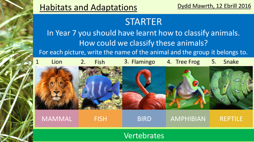 Habitats and Adaptations