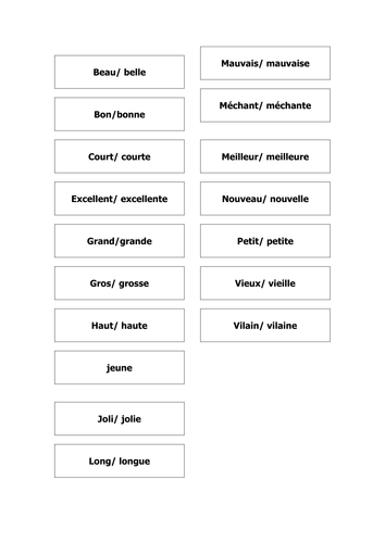 French Teaching Resources Cards: Adjectives Which Precede The Noun Warmer.