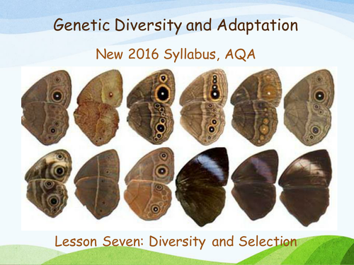 New AQA (2016) Year 1 Biology (AS) - Diversity and Selection