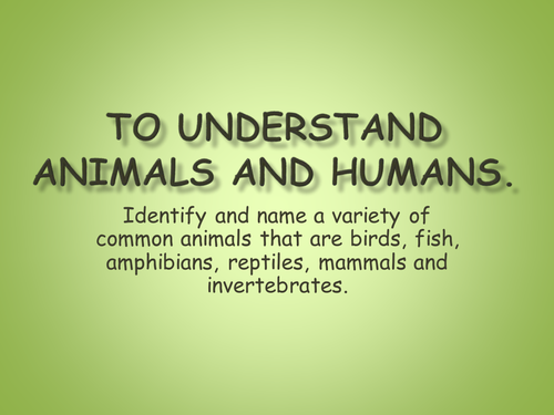 Identifying and describing different types of animals. 