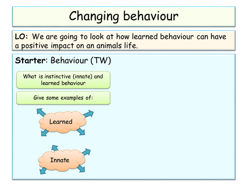YEAR 8 - Shaping life SOW