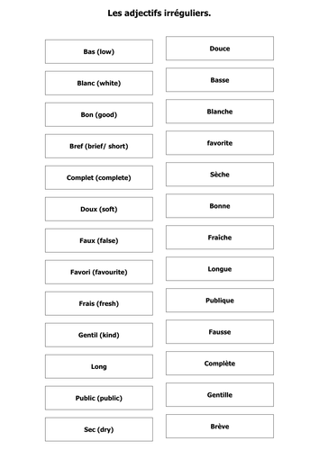 French Teaching Resources Irregular Adjectives Matching Cards 