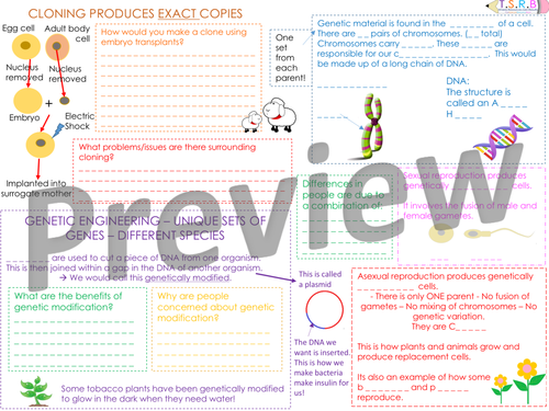 B1 Genetics Revision Mat