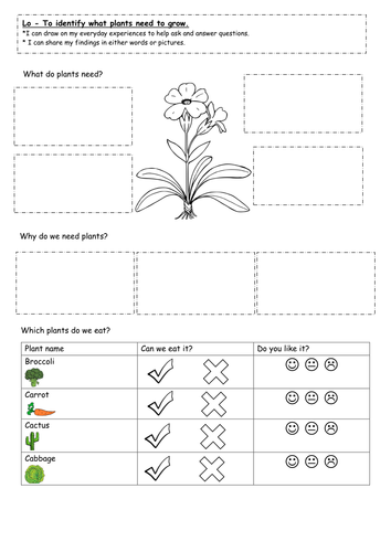 Year 1 - Plants and Growing Unit (Science)