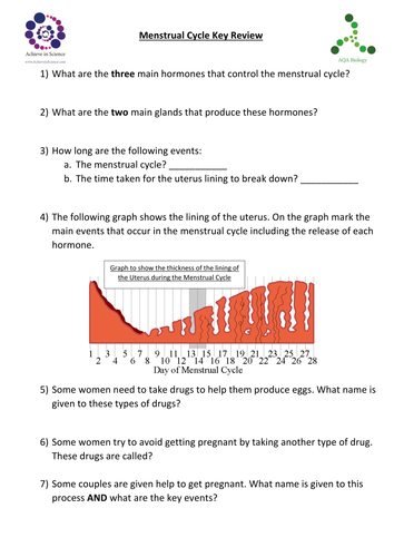 Menstrual Cycle Review