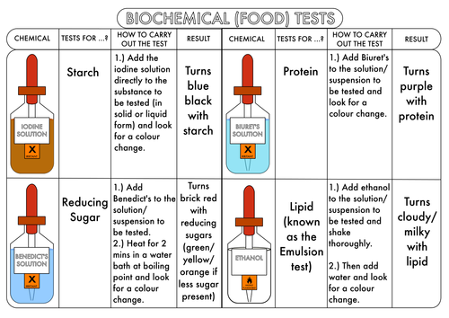 GCSE Biology Biochemical (Food Tests) Summary