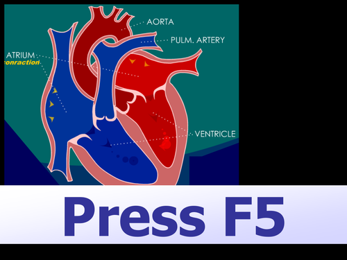 Heart, Circulation & Blood Types