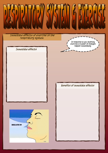 GCSE PE - Respiratory System Handout