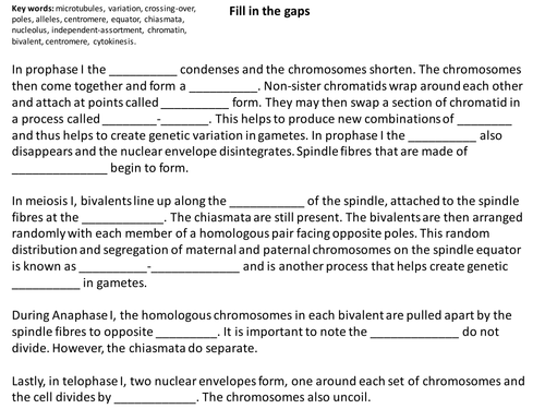Meiosis - OCR 