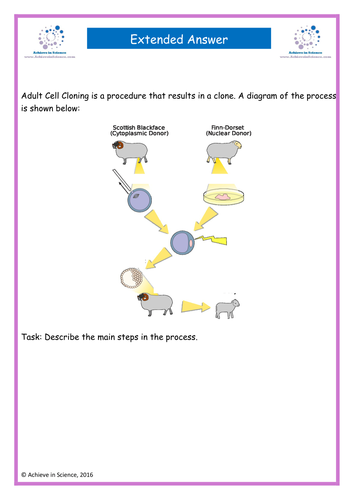 GCSE Core Science Revision Materials for cloning and genetic engineering 