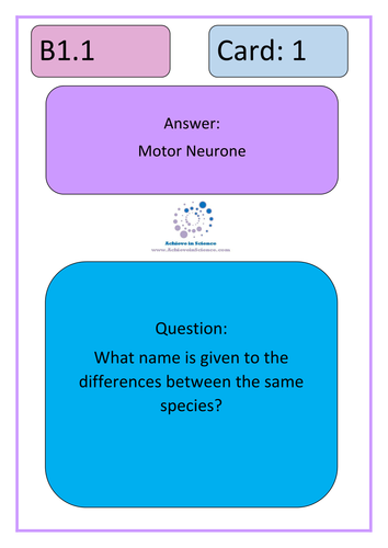 B1 Revision Loop Cards