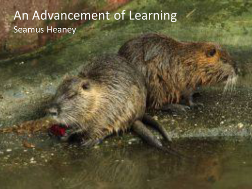 CCEA Literature Poetry- Heaney and Hardy - 'An Advancement of Learning', by Seamus Heaney.	