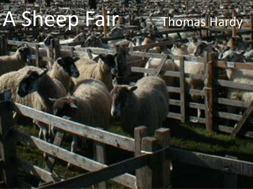 CCEA Literature Poetry- Heaney and Hardy - 'A Sheep Fair', by Thomas Hardy.