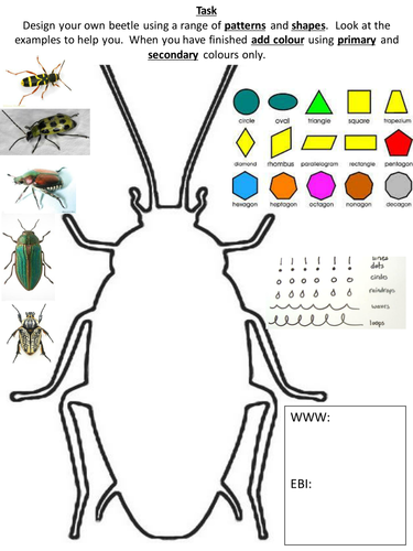 Insect bug cover worksheet