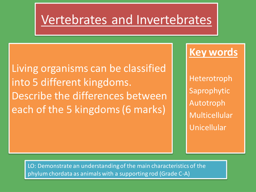 Edexcel B1 - Vertebrates and Invertebrates 
