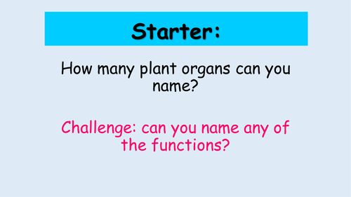 Plant Organs