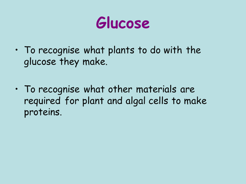 glucose in plants