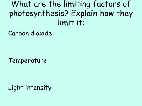 B2.2.4 Making the Most of Photosynthesis | Teaching Resources