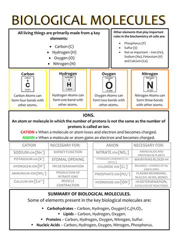 download bonus algorithm for large scale stochastic