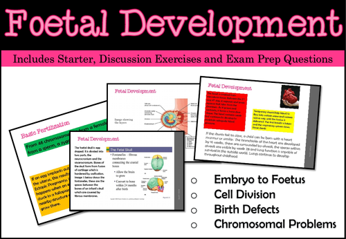 Foetal Development - Embryo to Foetus (Unit of Work)