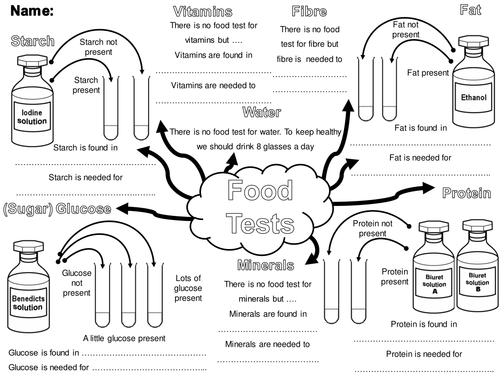 Food test Summary Activity