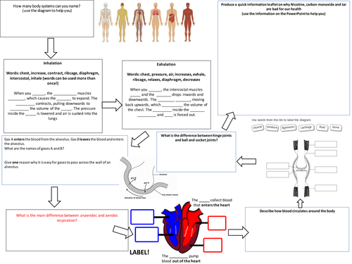 Health and Fitness placemat 