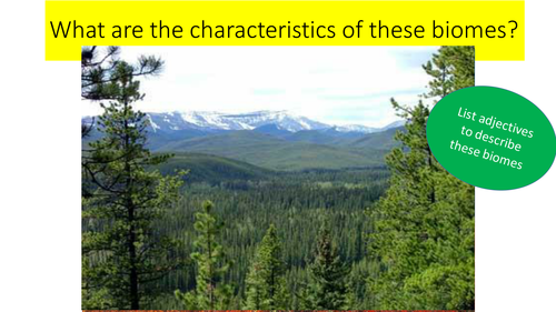 Ecosytems - Tundra and the rainforest 