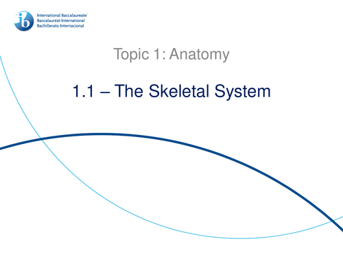 1.1. The Skeletal System IB Sports, Exercise and Health Science (SEHS) PowerPoint