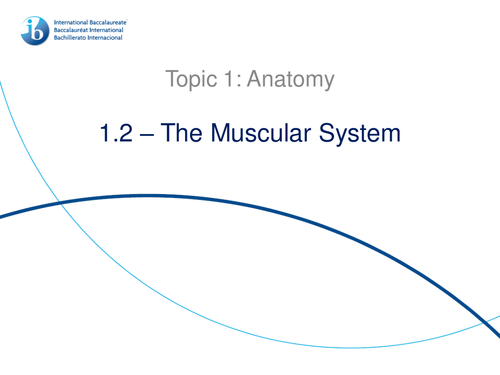1.2. The Muscular System IB Sports, Exercise and Health Science (SEHS) PowerPoint