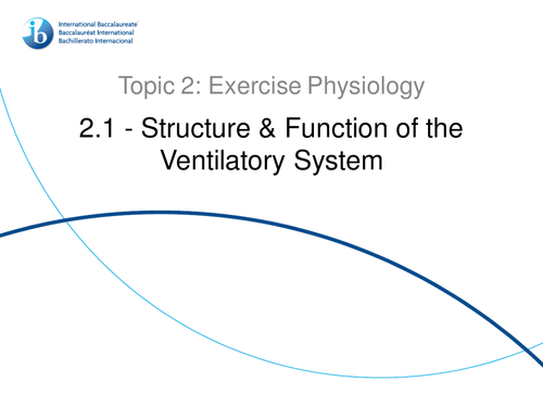2.1. Structure and Function of the Ventilatory System IB SEHS PowerPoint
