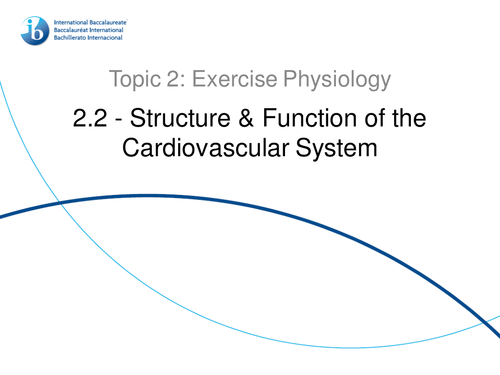 2.2 Structure and Function of the Cardiovascular System IB SEHS PowerPoint