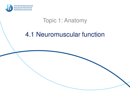 4.1 Neuromuscular Function IB Sports, Exercise and Health (SEHS) PowerPoint