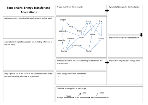 AQA Core Food Chains, Adaptations & Biomass Revision Mat