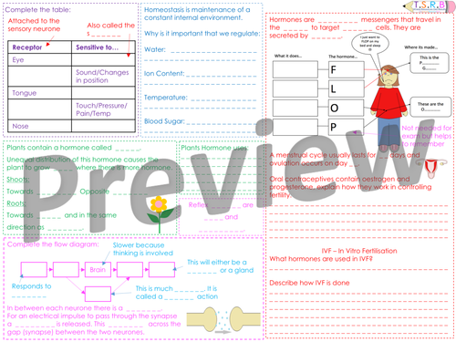 B1 Nerves, Hormones and Senses Revision Mat