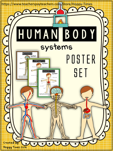 Science HUMAN BODY SYSTEMS Display Posters