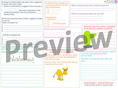 B1 Adaptations, Environment and Competition Revision Mat