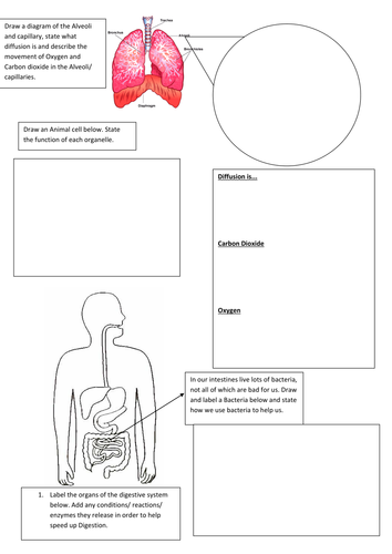 Diffusion/ Digestive system/ B2.1 Aqa/ Cells