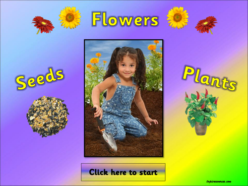 Life Cycles - Plants, Flowers and Seeds Topic Pack