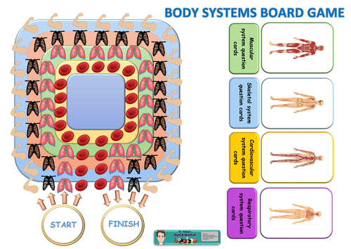 GCSE PE body systems board game