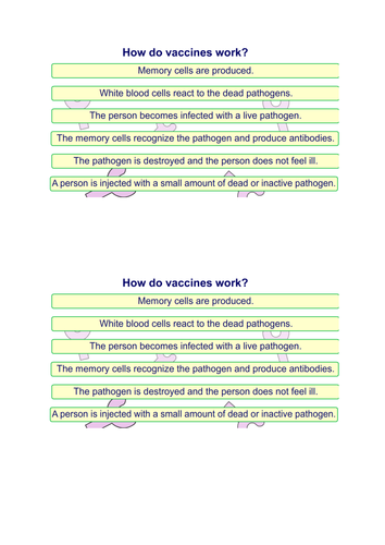 Vaccination Immunization  Card Sort