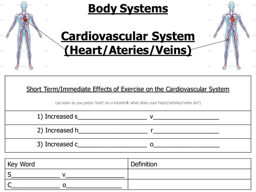 Body System - Revision Cards 