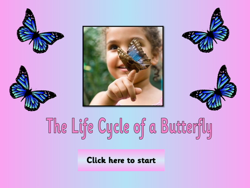 Life Cycles - Butterflies Topic